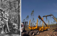 Rayonier’s Sustainable Forestry Helps Build Nassau County