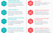Here Are the 50 Most Pet-Friendly Coworking Spaces in the US - CommercialCafe