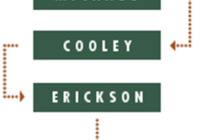 MICHAUD, COOLEY ERICKSON CONTINUES GROWTH,  ANNOUNCES LEADERSHIP ADDITIONS