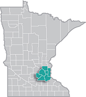 A Year in the Twin Cities Metro