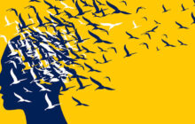 Stephan Whitaker Discusses Trends in Domestic Migration