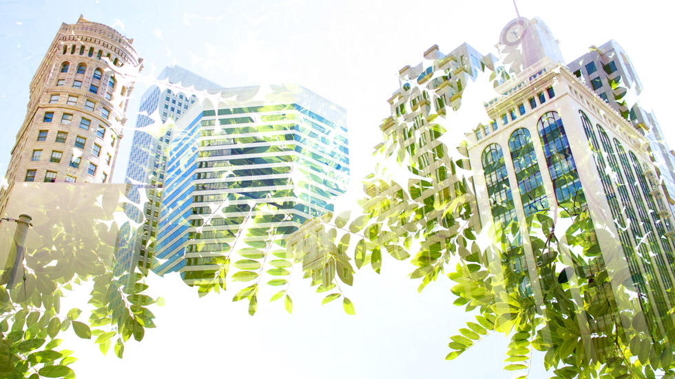 REITs Strive to Lower Energy Consumption