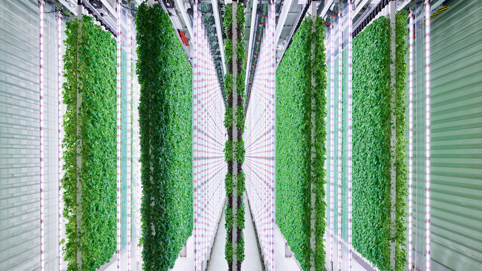 Vertical Farming a New Growth Opportunity for Realty Income