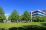Quality Tax Advisors Key to Navigating Emerging Foreign Markets