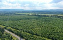 Nuclear Reactor Developer Plans $232 Million Factory in North Alabama