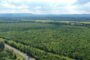Merritt To Begin Construction on White Marsh Interchange Park