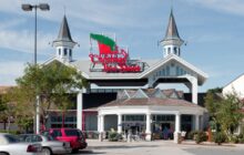 Christmas Tree Shops Pressed to Liquidate