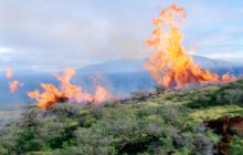 Hawaii Wildfires Spur Evacuations, Biden Looks To Restrict US Investment in Chinese Tech Firms, Mortgage Applications Decline