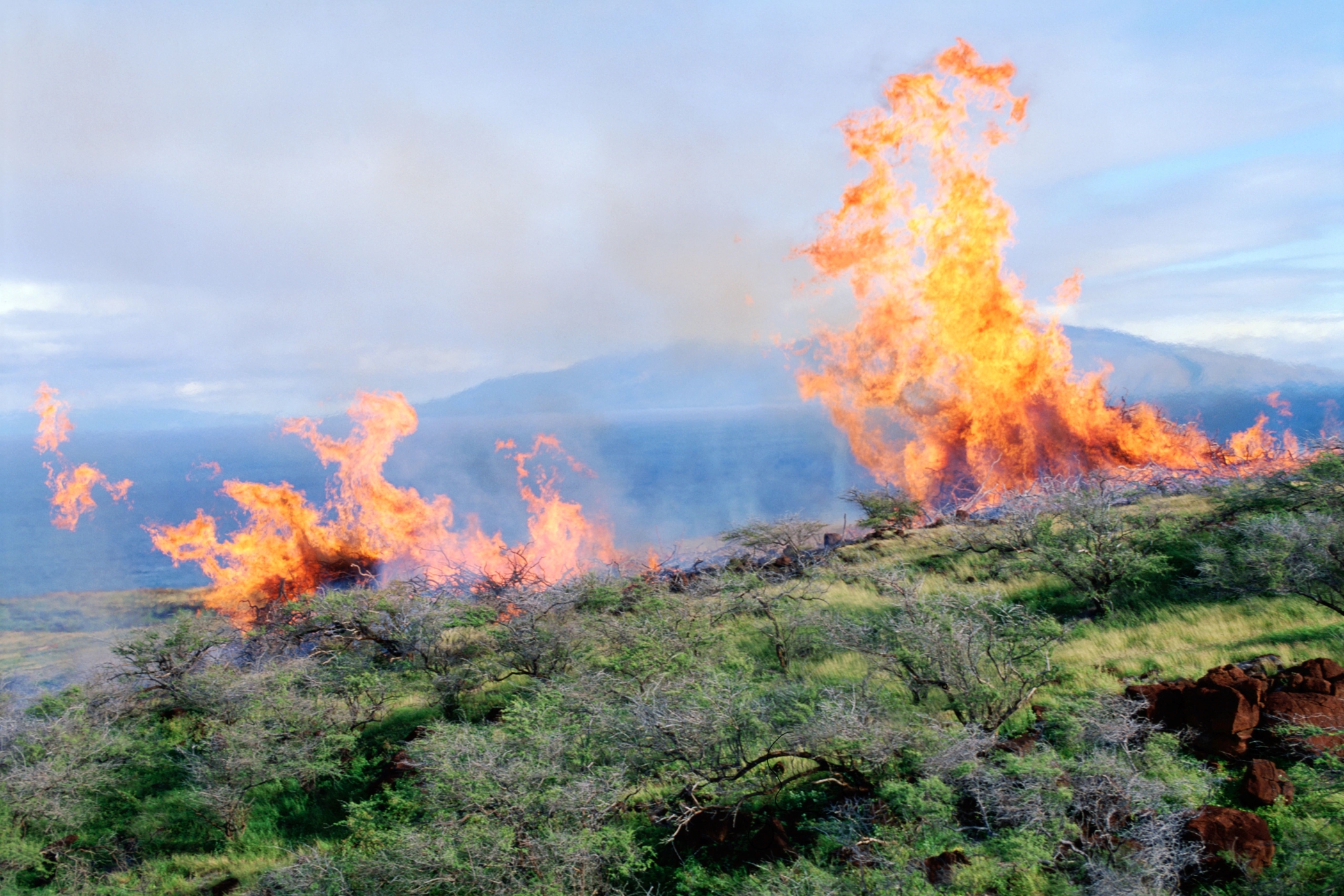Hawaii Wildfires Spur Evacuations, Biden Looks To Restrict US Investment in Chinese Tech Firms, Mortgage Applications Decline