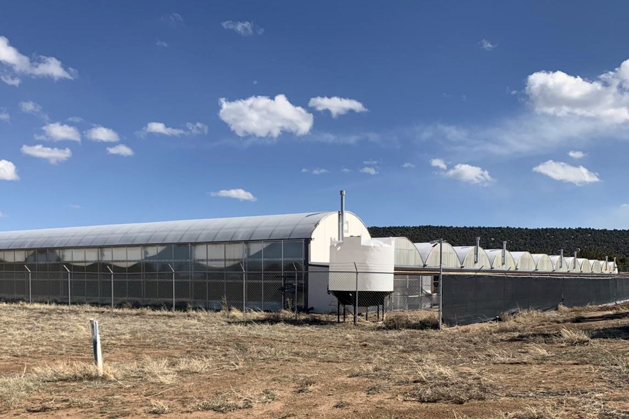Slowing Cannabis Demand Threatens Greenhouse Owner’s Future
