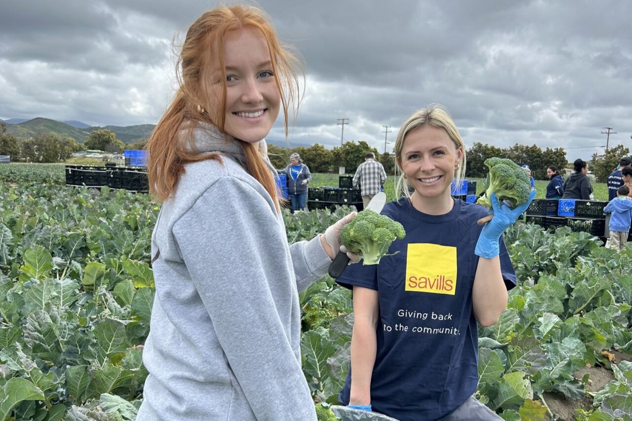 Savills Staffers Lend Hands to Southern California Foodbank