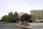 Cushman & Wakefield hires veteran to grow debt business; PEG picks new CEO; Regency promotes lease administration leader